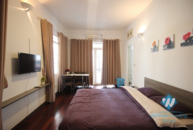 Elegant studio near Nguyen Thi Dinh, Cau Giay District 